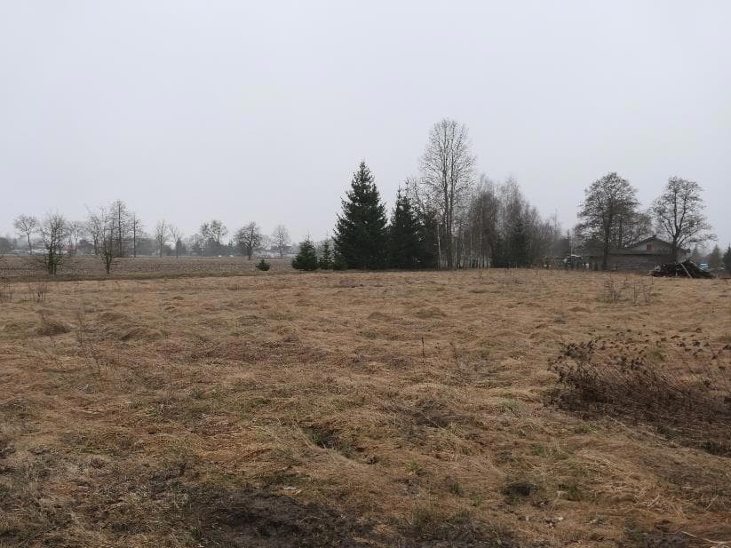 Niezabudowana nieruchomość gruntowa – zdjęcie 3 z 4