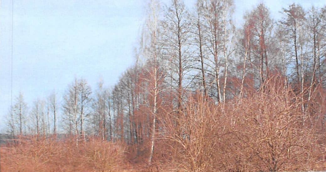 NIEZABUDOWANA NIERUCHOMOŚĆ GRUNTOWA O NR KW BY1B/00056053/0