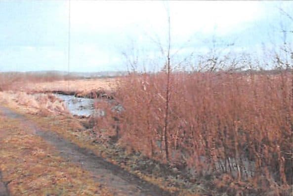 NIEZABUDOWANA NIERUCHOMOŚĆ GRUNTOWA O NR KW BY1B/00056053/0 – zdjęcie 3 z 9