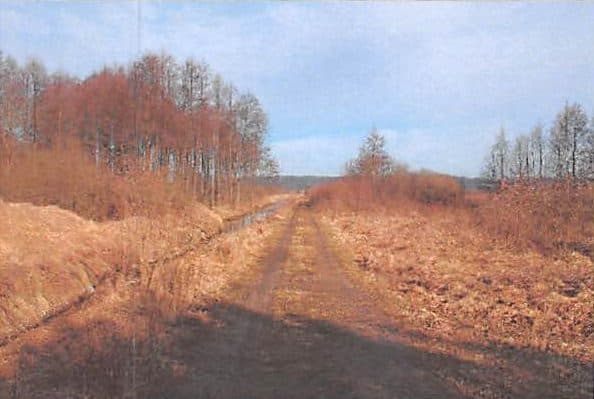 NIEZABUDOWANA NIERUCHOMOŚĆ GRUNTOWA O NR KW BY1B/00056053/0 – zdjęcie 5 z 9