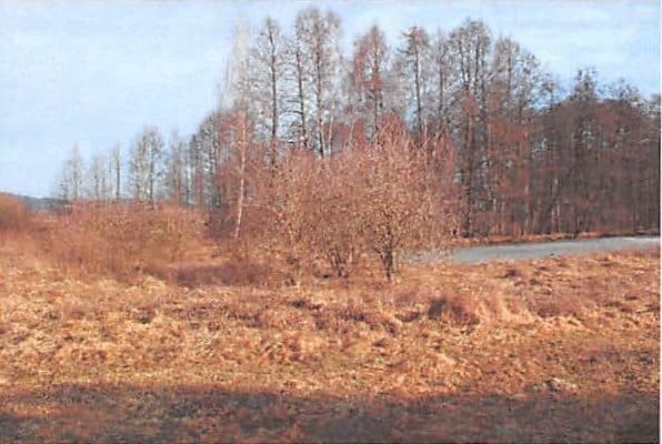 NIEZABUDOWANA NIERUCHOMOŚĆ GRUNTOWA O NR KW BY1B/00056053/0 – zdjęcie 7 z 9