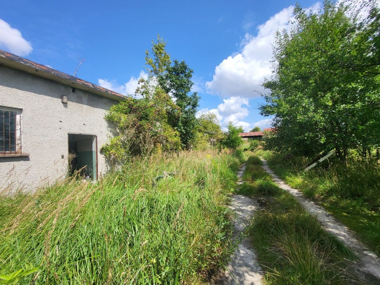 Na działce nr 263/1 obręb Rogowo posadowione są: budynek masarni z ubojnią o powierzchni zabudowy 235 m2, budynek na odpadki poubojowe ze zbiornikiem ścieków o powierzchni zabudowy 26 m2 oraz wiata o powierzchni zabudowy 97 m2. Działka nr 67/1 obręb – zdjęcie 3 z 4