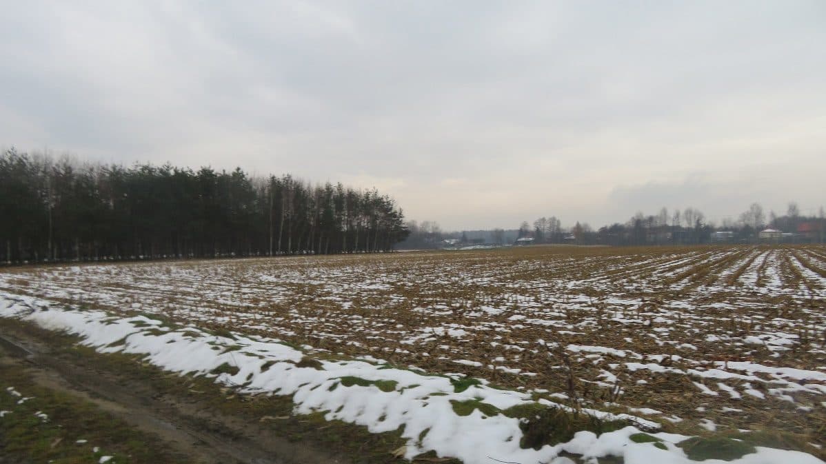 Działka nr 1171/3 obręb Wola Buchowska
