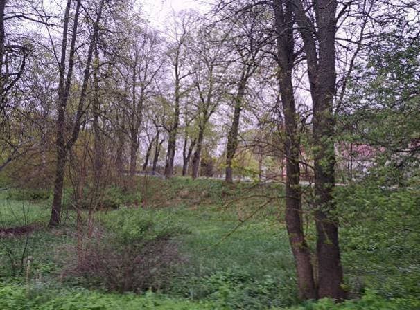 udział 19/20 w nieruchomości gruntowej – zdjęcie 10 z 51