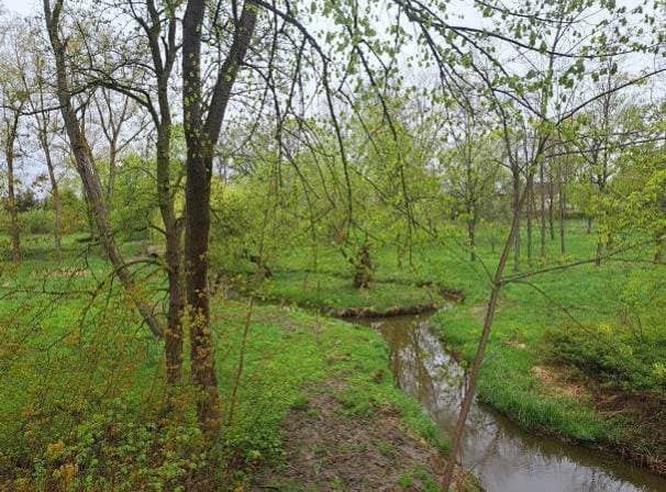 udział 19/20 w nieruchomości gruntowej – zdjęcie 12 z 51
