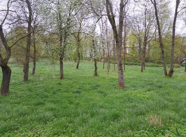 udział 19/20 w nieruchomości gruntowej – zdjęcie 15 z 51