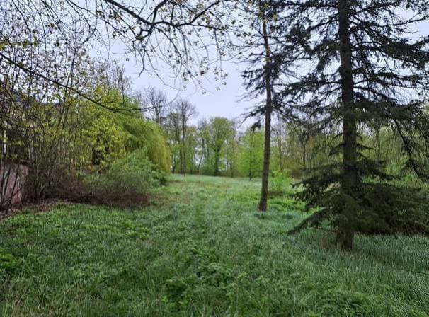 udział 19/20 w nieruchomości gruntowej – zdjęcie 16 z 51