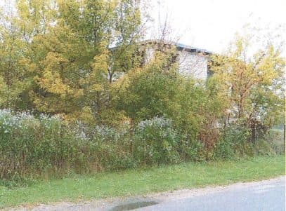 Nieruchomość gruntowa – zdjęcie 5 z 5