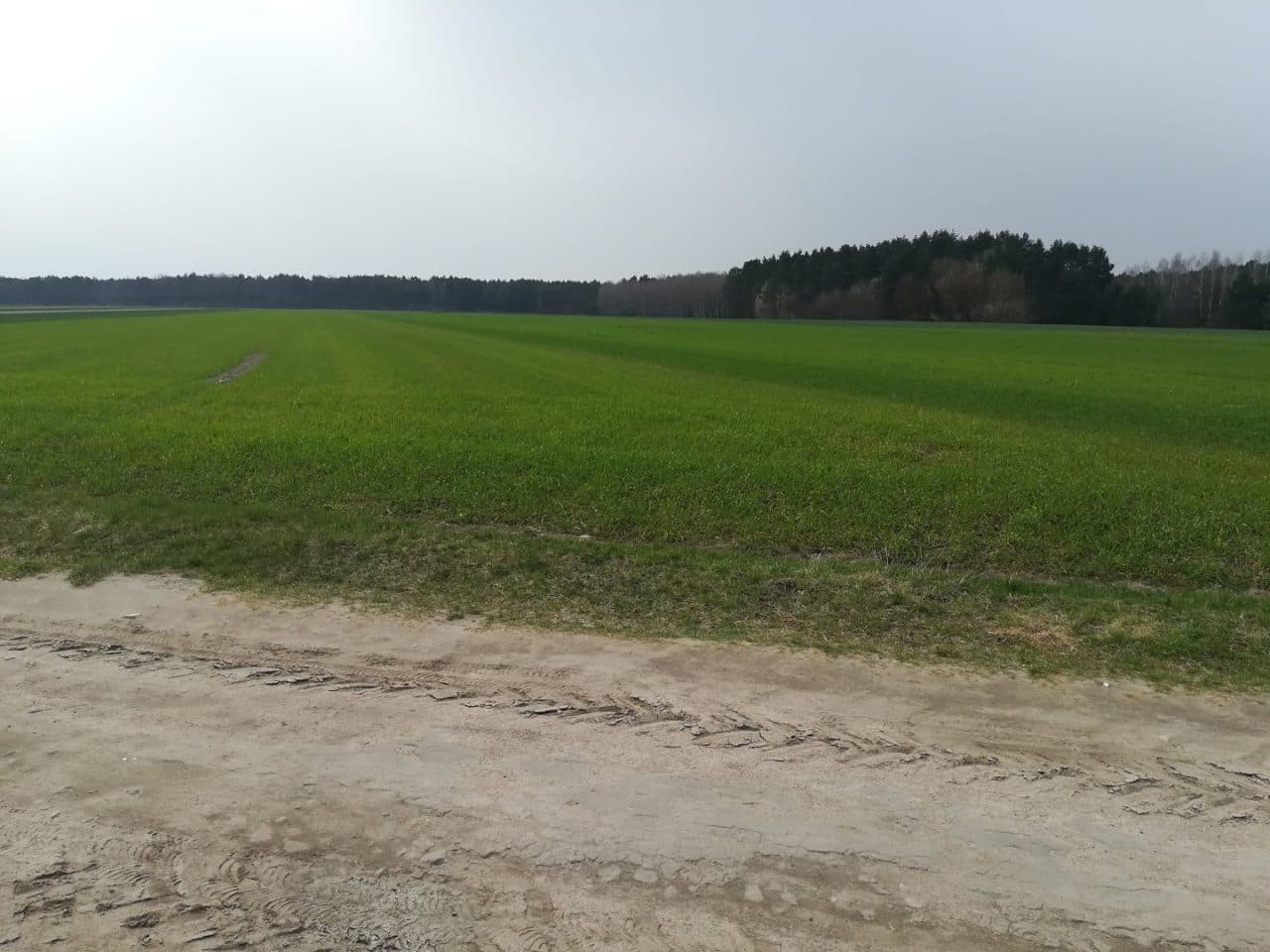 działki rolne o pow. 2,1807 ha