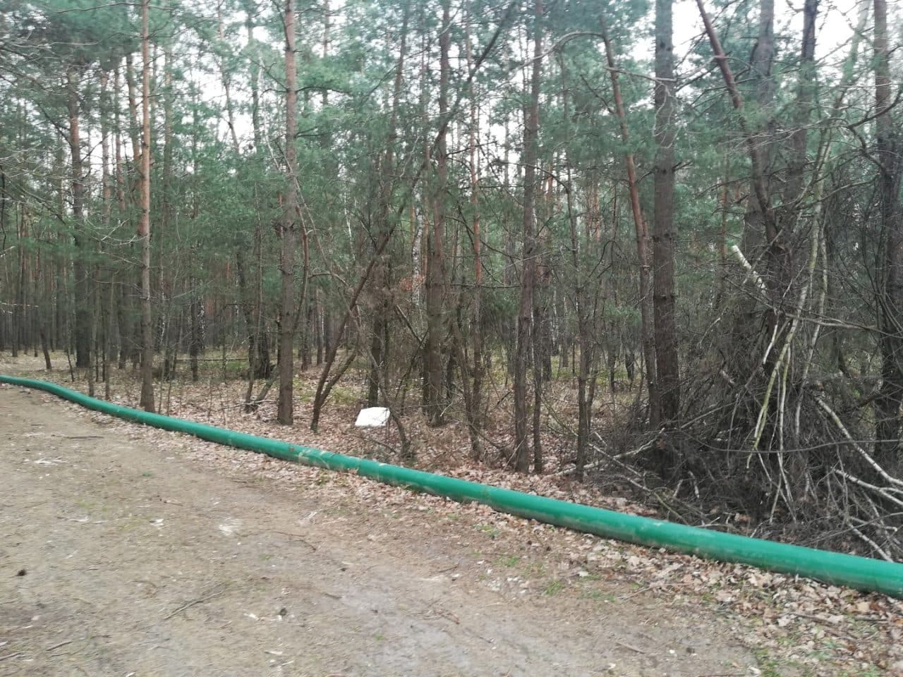 działki rolne o pow. 2,1807 ha – zdjęcie 2 z 9