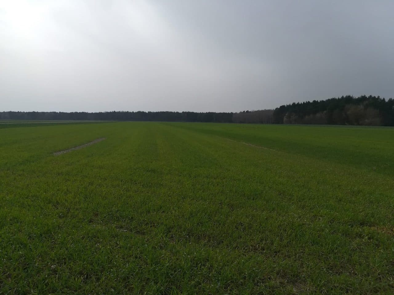 działki rolne o pow. 2,1807 ha – zdjęcie 3 z 9