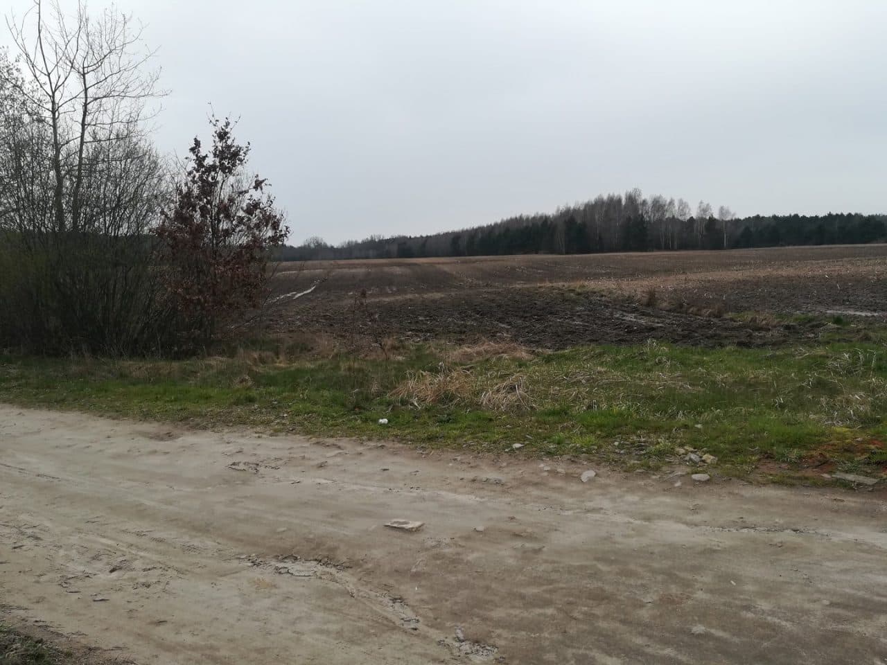 działki rolne o pow. 2,1807 ha – zdjęcie 5 z 9