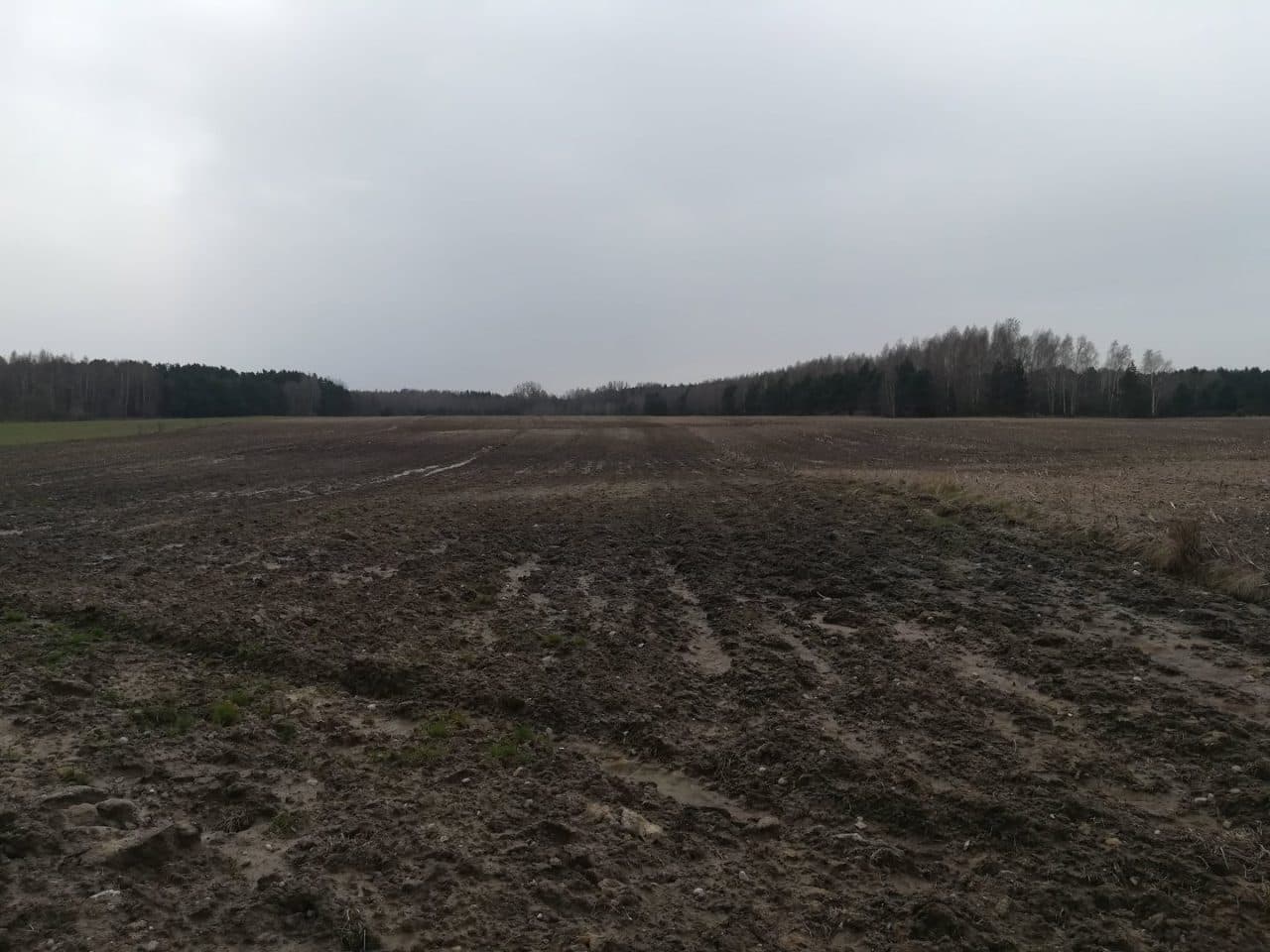 działki rolne o pow. 2,1807 ha – zdjęcie 6 z 9