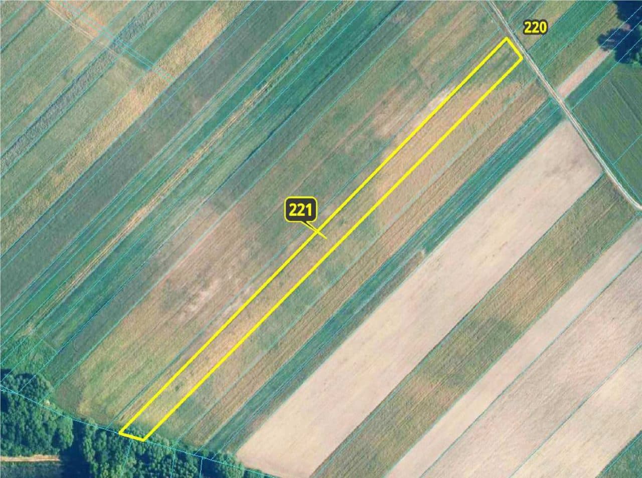 Działka nr 221 o pow. 0,61 ha
