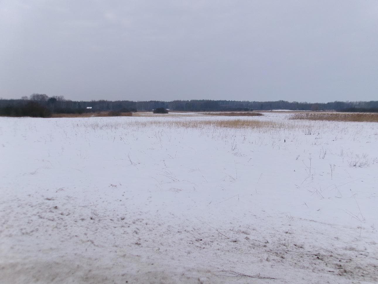 łąka działka nr 333 o pow. 0,67 ha