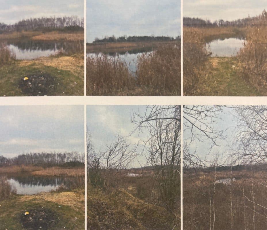 Nieruchomość gruntowa niezabudowana o powierzchni 4,97 ha objęta KW o nr PL1L/00027051/8