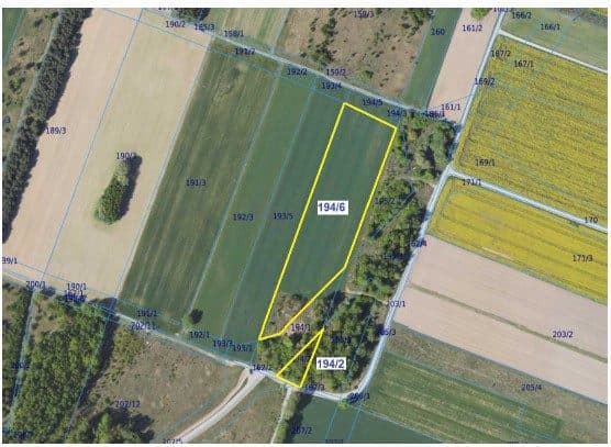 użytkowanie wieczyste - działka ozn. nr 194/2, 194/6 o pow. 1,2625 ha