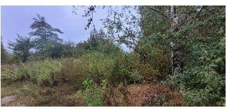 użytkowanie wieczyste działki ozn. nr 195/2,195/3 o pow. 0,6985 ha położonej: 09-400 Płock, – zdjęcie 2 z 3