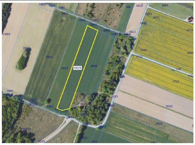 użytkowanie wieczyste działki ozn. nr 193/5 o pow. 0,9612 ha położonej: 09-400 Płock, ul. Okólna
