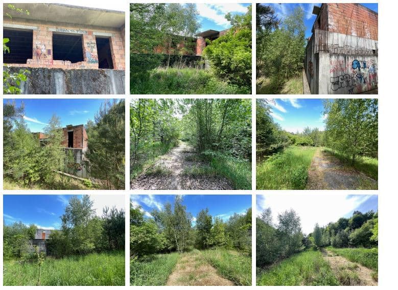 Kobylnica - działki nr 5/5, 5/6, 5/7 – zdjęcie 6 z 16