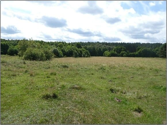 działka nr 20 oraz 22 – zdjęcie 10 z 10