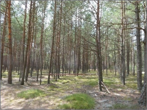 działka nr 20 oraz 22 – zdjęcie 3 z 10