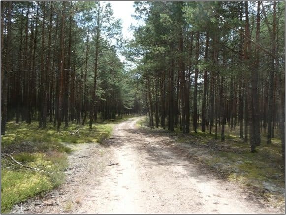 działka nr 20 oraz 22 – zdjęcie 4 z 10