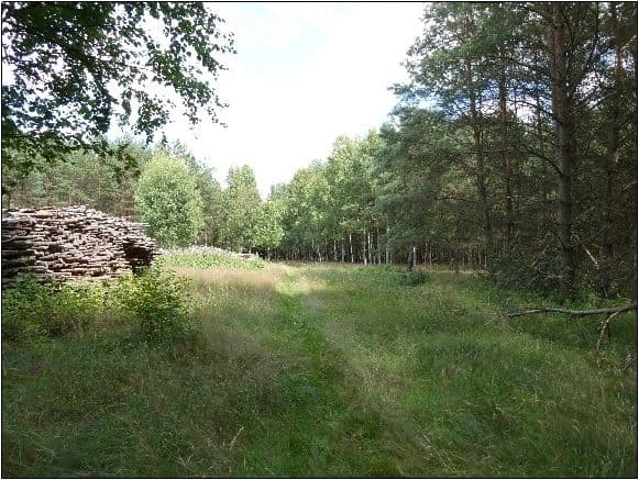 działka nr 20 oraz 22 – zdjęcie 8 z 10