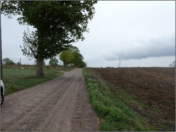 działa nr 234/3 – zdjęcie 5 z 6