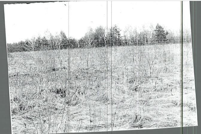 działka gruntu rolnego – zdjęcie 2 z 3
