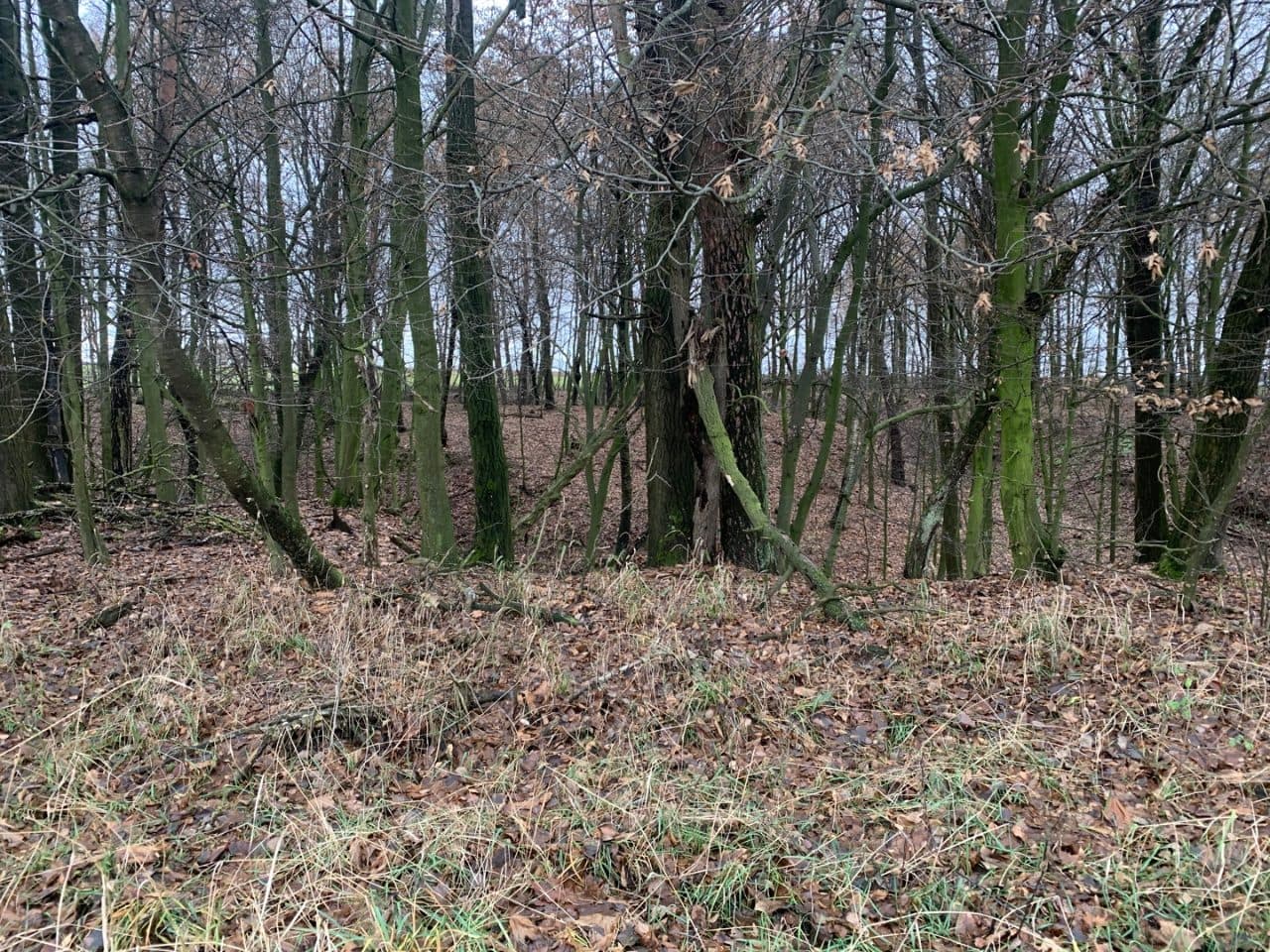 nieruchomość gruntowa LU1K/00044080/4 – zdjęcie 4 z 5