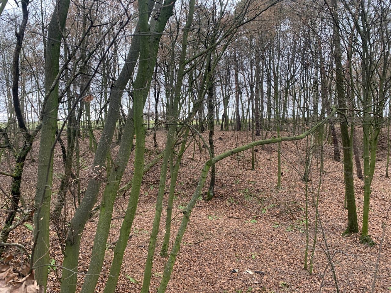 nieruchomość gruntowa LU1K/00044080/4 – zdjęcie 5 z 5