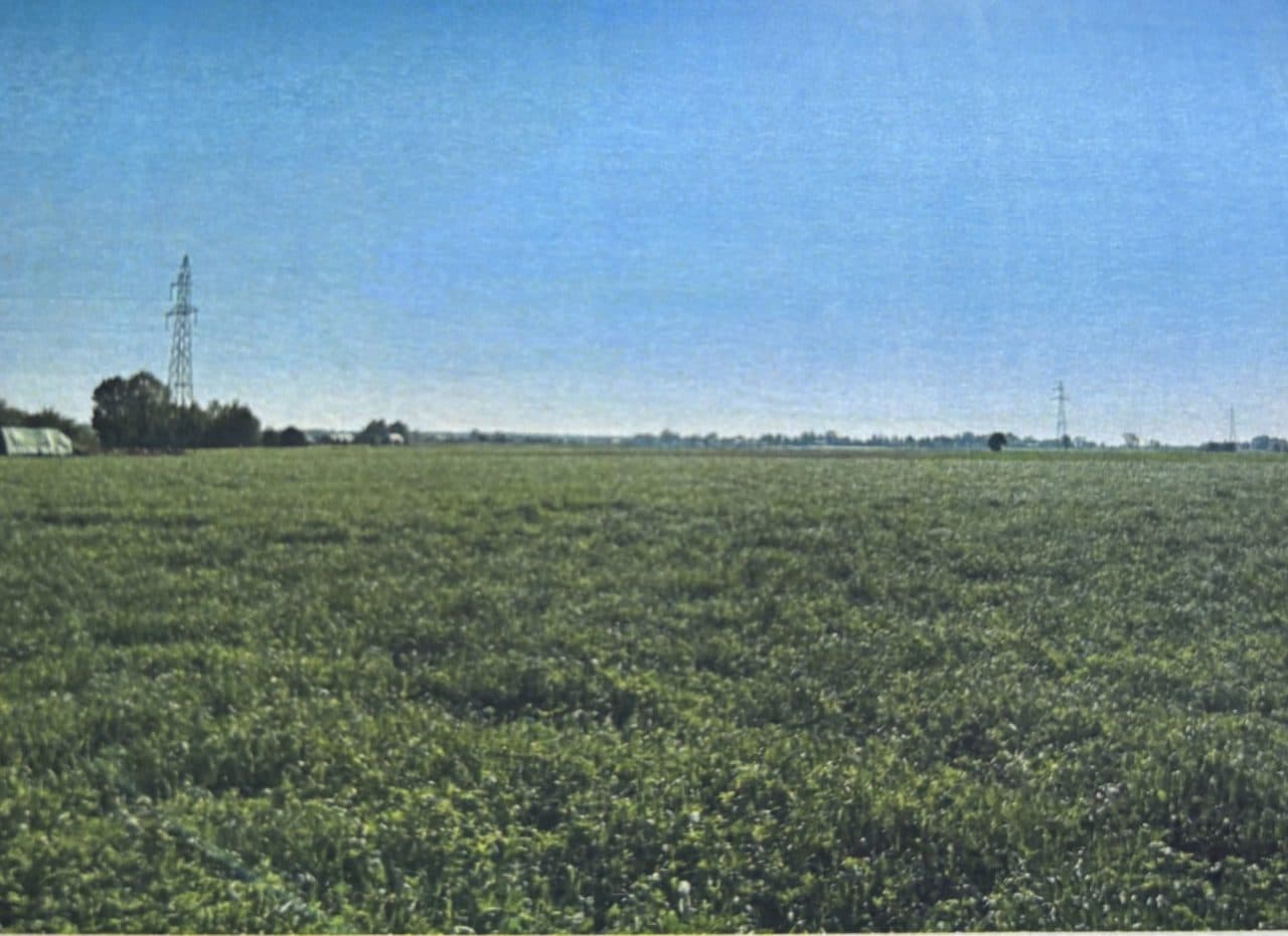 nieruchomość gruntowa niezabudowane działki gruntu o nr 111, 149, 337, 339, 365, 366, 393, 528, 529, 530 położona w miejscowości Łabędź gmina Koniecpol – zdjęcie 10 z 11