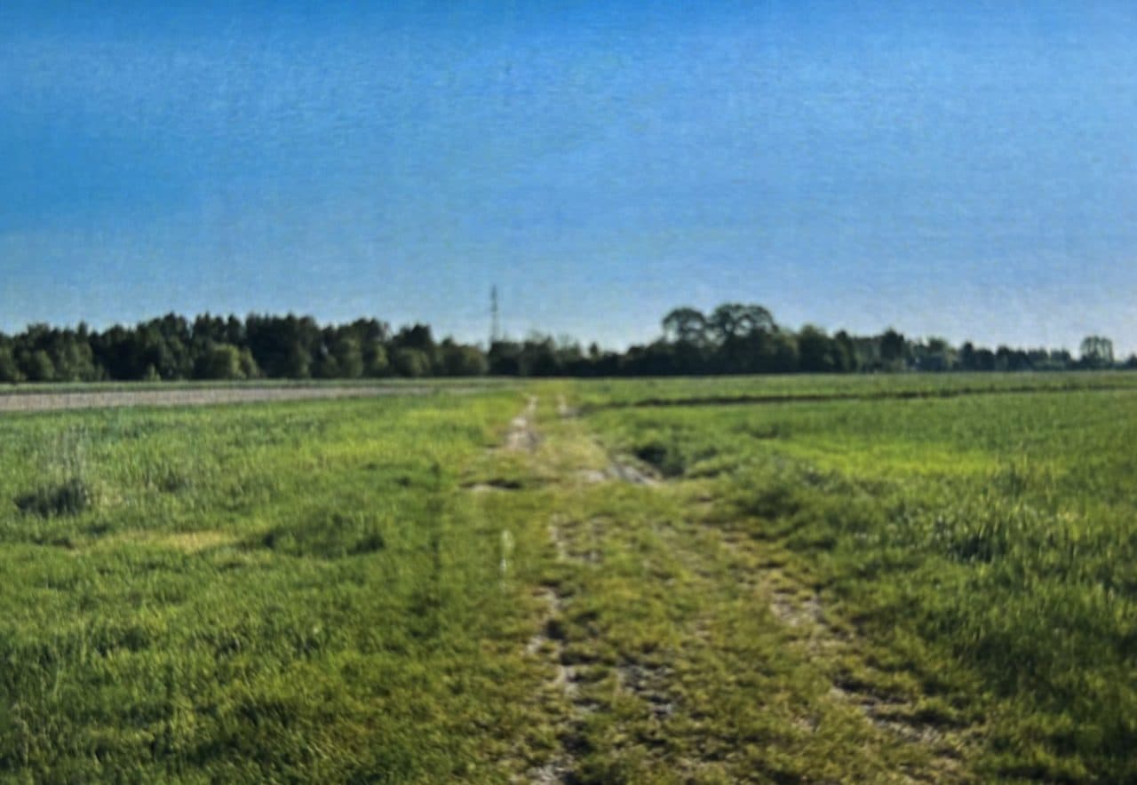 nieruchomość gruntowa niezabudowane działki gruntu o nr 111, 149, 337, 339, 365, 366, 393, 528, 529, 530 położona w miejscowości Łabędź gmina Koniecpol – zdjęcie 4 z 11