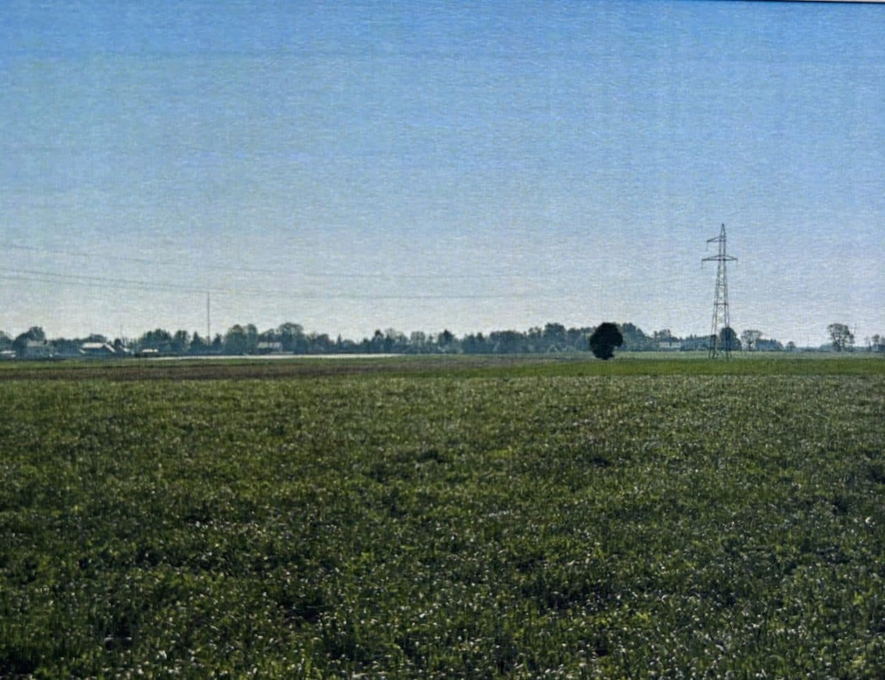 nieruchomość gruntowa niezabudowane działki gruntu o nr 111, 149, 337, 339, 365, 366, 393, 528, 529, 530 położona w miejscowości Łabędź gmina Koniecpol – zdjęcie 9 z 11