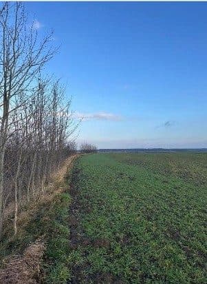 nieruchomości gruntowej ornej w postaci działek nr 796/7, 796/11, 796/9, 796/6, 844 oraz 795 o łącznej pow. 7,6625 HA – zdjęcie 4 z 11