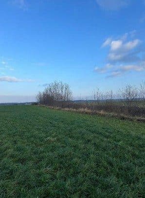 nieruchomości gruntowej ornej w postaci działek nr 796/7, 796/11, 796/9, 796/6, 844 oraz 795 o łącznej pow. 7,6625 HA – zdjęcie 6 z 11