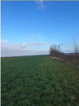 nieruchomości gruntowej ornej w postaci działek nr 796/7, 796/11, 796/9, 796/6, 844 oraz 795 o łącznej pow. 7,6625 HA – zdjęcie 9 z 11