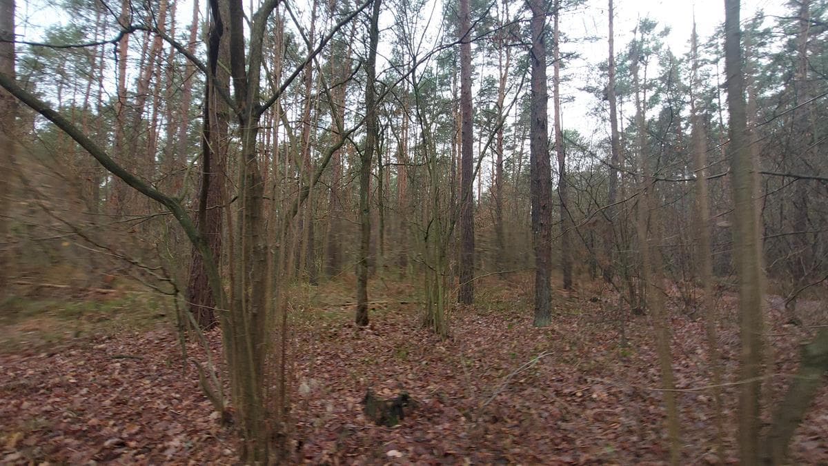 Nieruchomość gruntowa oznaczona nr działki 300/1 położona w miejscowości Turze Rogi, gm. Łuków, o łącznej powierzchni 0,31 ha, dla której nie jest prowadzona księga wieczysta.