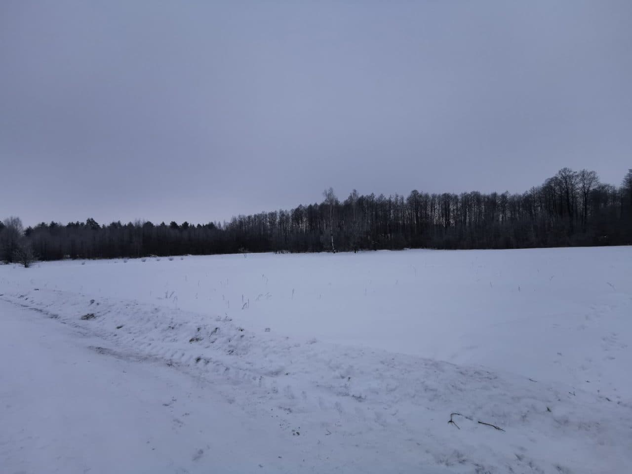 nieruchomość gruntowa niezabudowania dz. nr 14/2