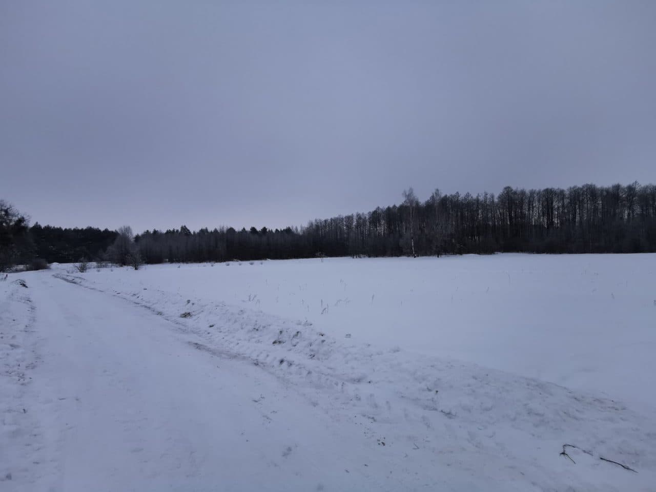 nieruchomość gruntowa niezabudowania dz. nr 14/2 – zdjęcie 2 z 2