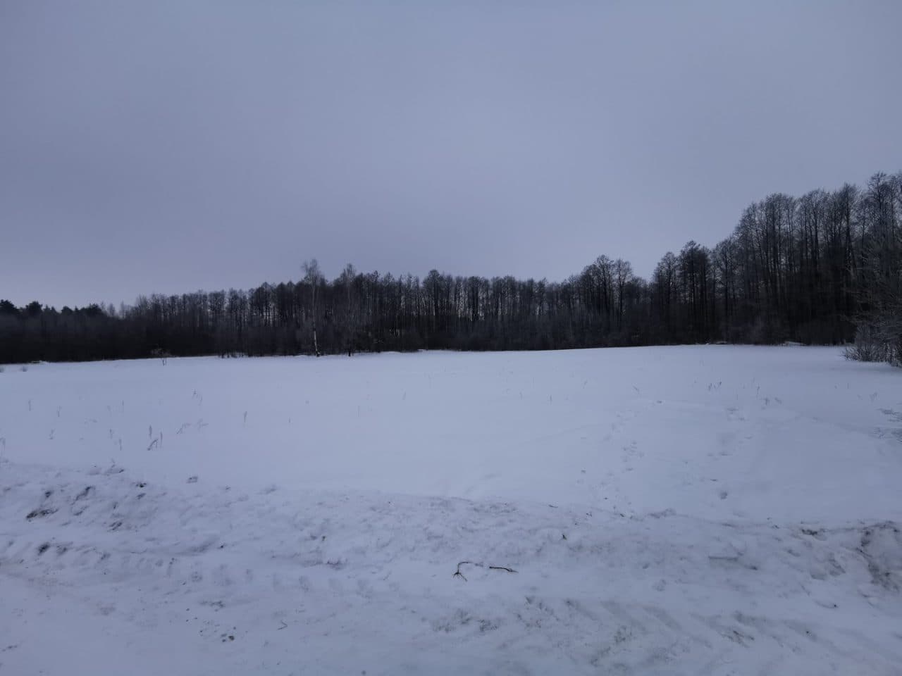 nieruchomość gruntowa zabudowana dz. nr 13/2 – zdjęcie 4 z 4