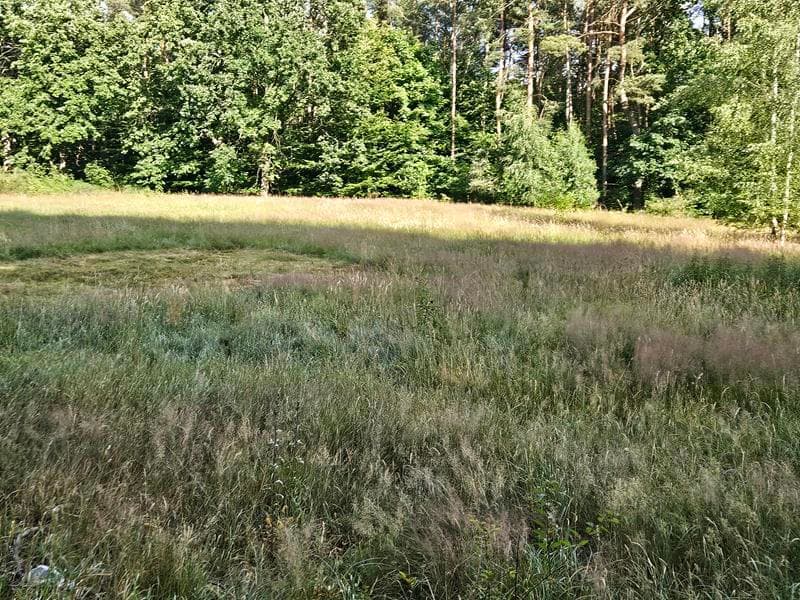 Nieruchomość Koszalin – zdjęcie 12 z 14
