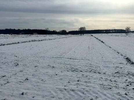 Grunty rolne działka nr 469 o pow. 1.1038ha – zdjęcie 3 z 3