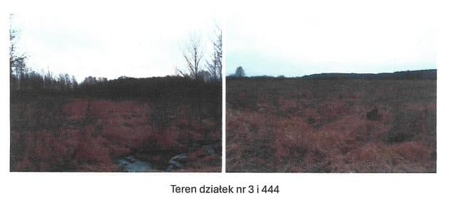 Działki ewidencyjne nr 3, 444, 830, 833, 1216 stanowiące w 1/2 części własność dłużnika – zdjęcie 2 z 4