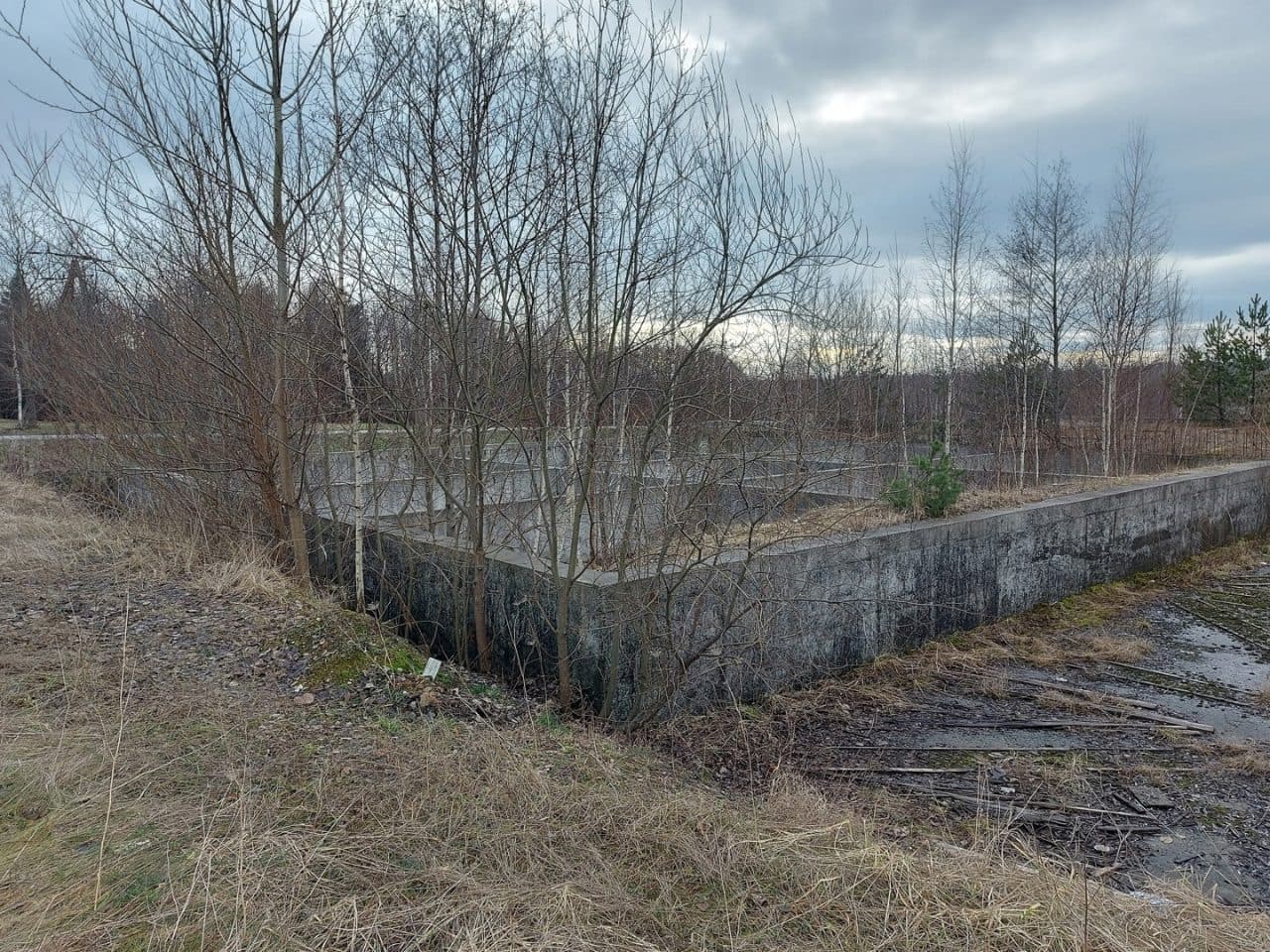 nieruchomość gruntowa – zdjęcie 2 z 3