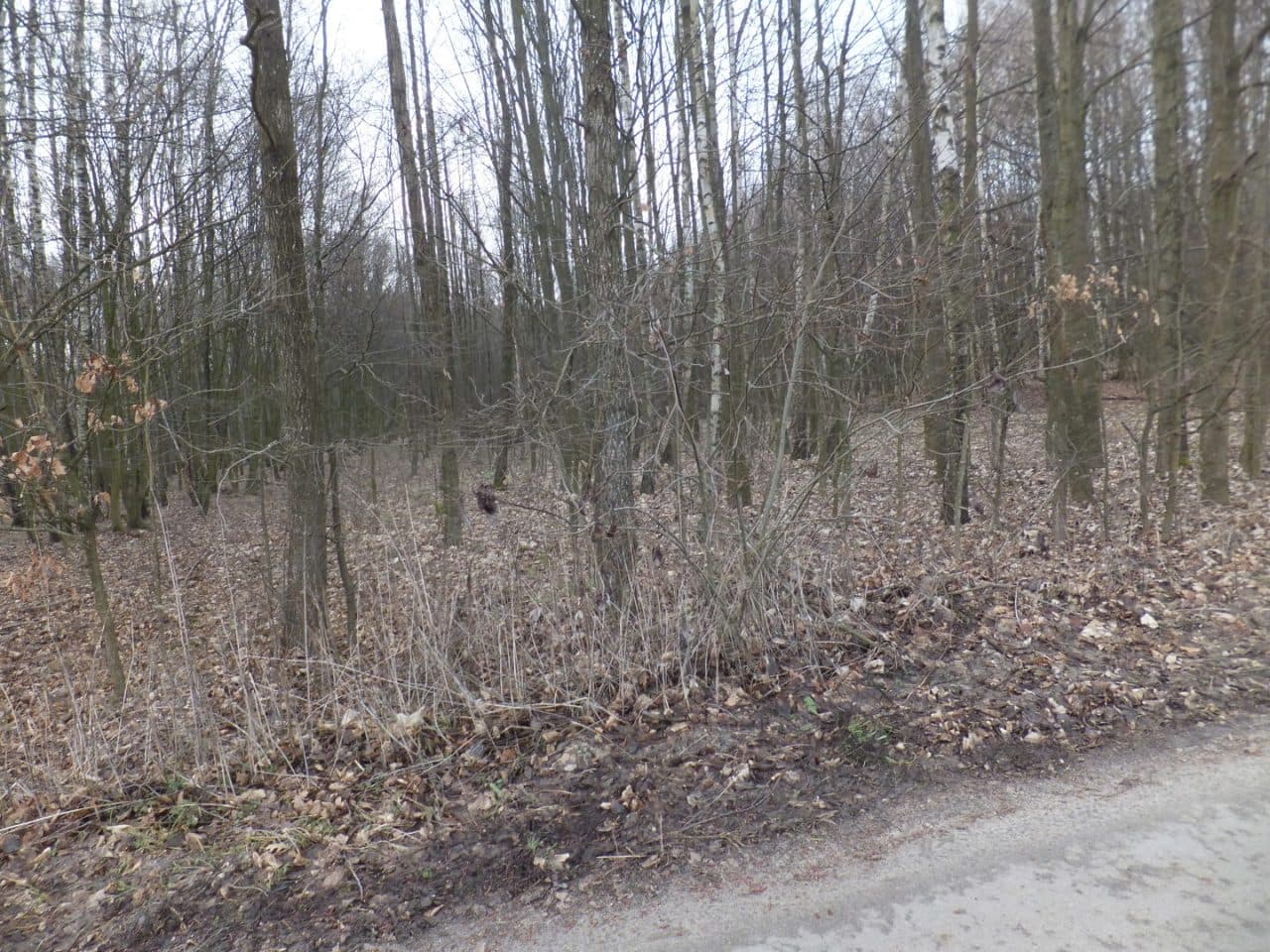 Nieruchomość gruntowa – zdjęcie 14 z 23