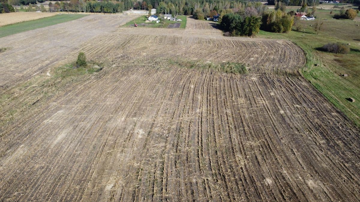 Prawo własności do nieruchomość gruntowej - grunt orny 0,76 ha - Gdola gm. Ruda-Huta – zdjęcie 3 z 5