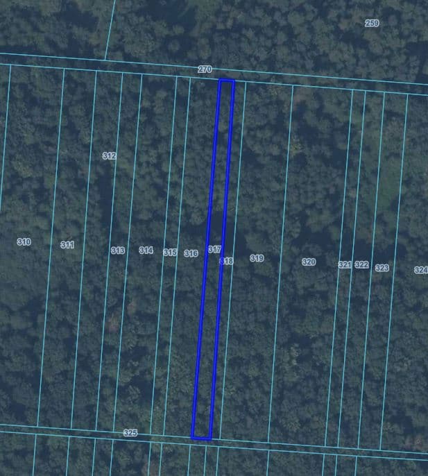 Prawo własności do nieruchomości gruntowej - las 0,17 ha - Andrzejów gm. Kamień