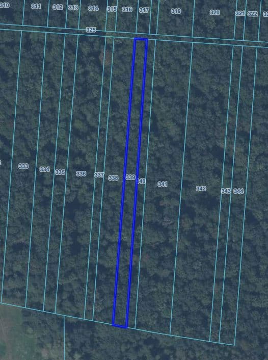 Prawo własności do nieruchomości gruntowej - las 0,19 ha - Andrzejów gm. Kamień